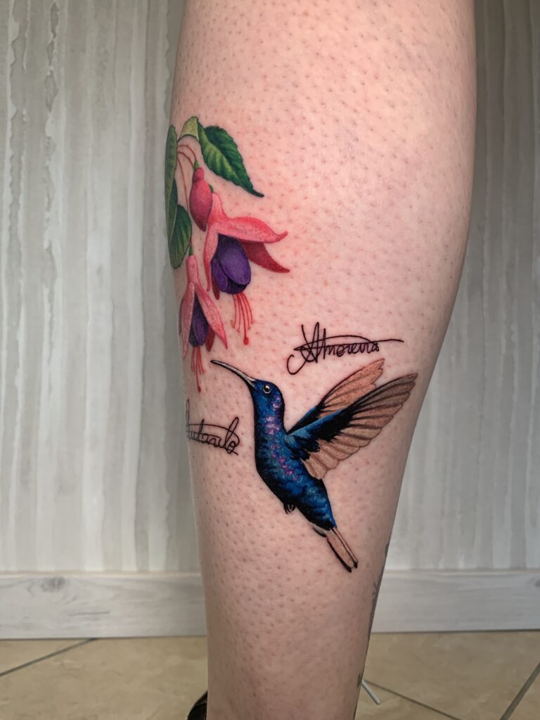 colibri