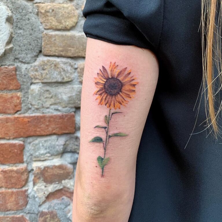 girasole