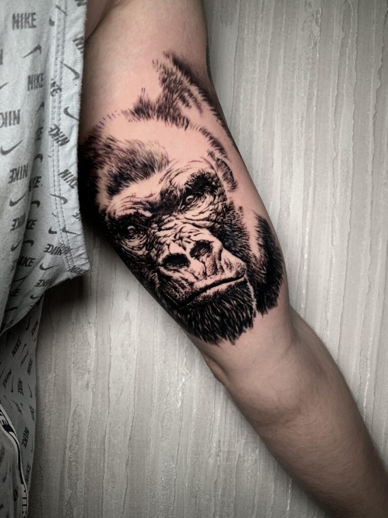 gorilla